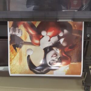Pet Banner / Fotográfico